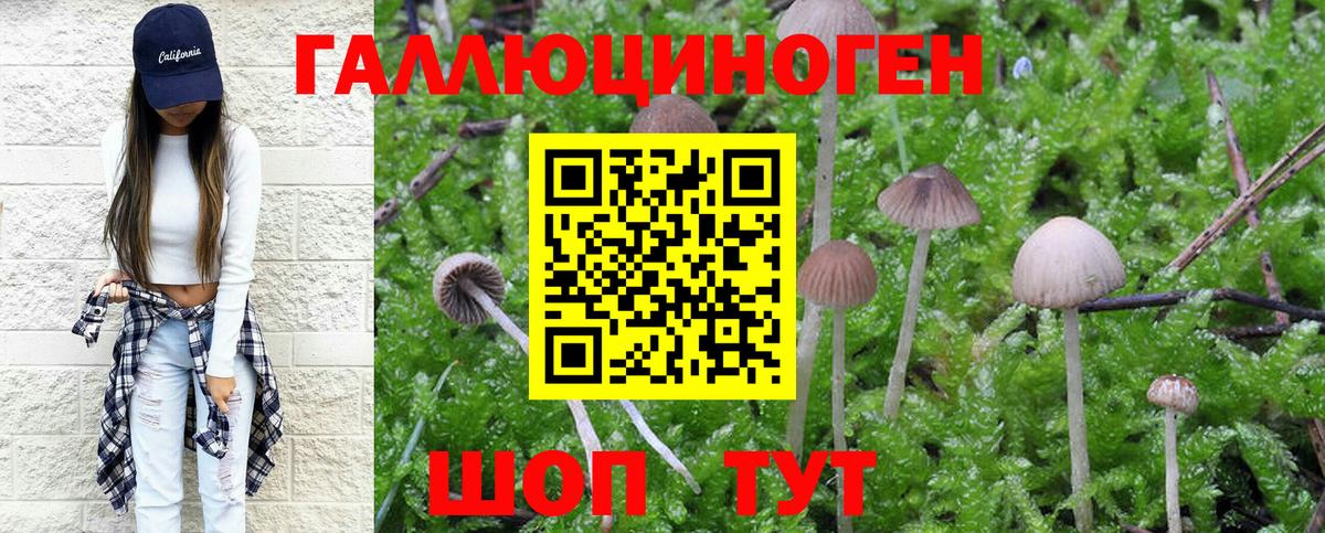 Галлюциногенные грибы мухоморы  Вход с VPN  Псилоцибиновые грибы MAGIC MUSHROOMS  Томск 